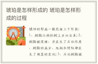 琥珀是怎樣形成的 琥珀是怎樣形成的過(guò)程