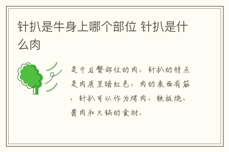 針扒是牛身上哪個(gè)部位 針扒是什么肉