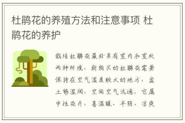 杜鵑花的養(yǎng)殖方法和注意事項(xiàng) 杜鵑花的養(yǎng)護(hù)