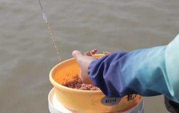 釣魚打窩量多少合適（釣魚打窩量多少）