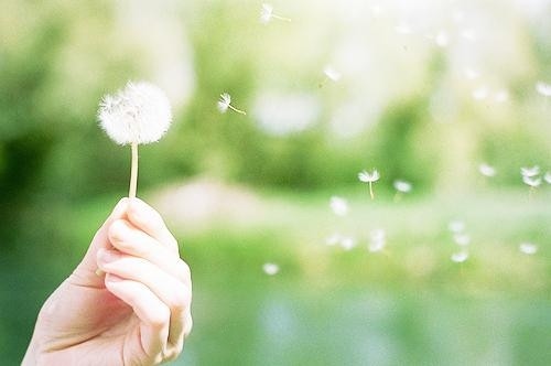 閨蜜結(jié)婚文案短句 閨蜜結(jié)婚祝福句子