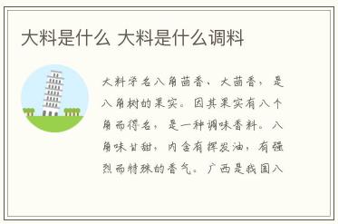 大料是什么 大料是什么調(diào)料都有哪些