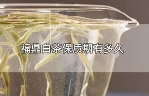 福鼎白茶保質(zhì)期有多久