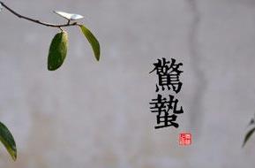 驚蟄是什么意思 驚蟄節(jié)氣介紹資料