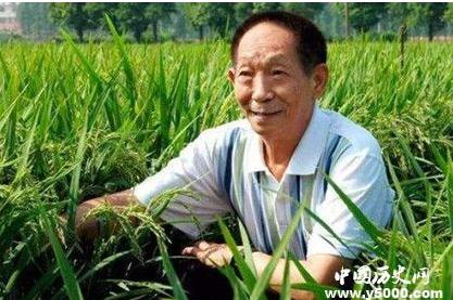 關(guān)于袁隆平生平簡介(袁隆平的生平簡介和成就)