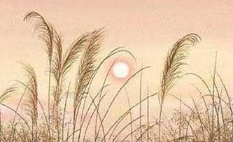 禍不單行歇后語(yǔ)下一句  禍不單行上一句怎么接