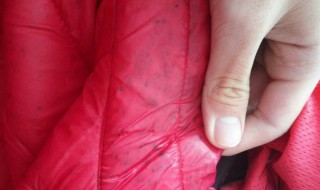 衣服發(fā)霉用什么洗掉霉斑 4種方法去除衣服發(fā)霉霉點(diǎn)