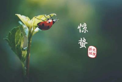 驚蟄節(jié)氣要注意什么?驚蟄時(shí)節(jié)養(yǎng)生應(yīng)注意什么?