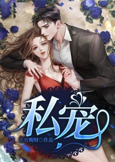 私寵是什么意思  私寵是什么意思啊