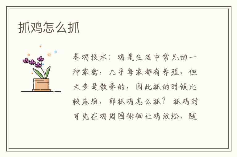 抓雞怎么抓  逮雞怎么逮