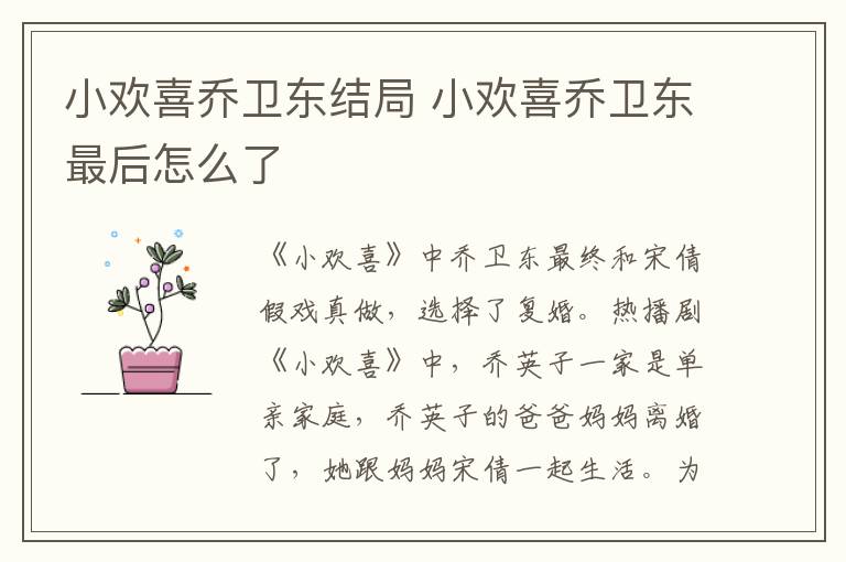 小歡喜喬衛東結局 小歡喜喬衛東最后怎么了