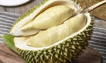 榴蓮種植條件和區域？榴蓮種植要哪些條件？