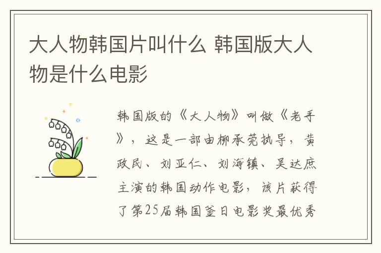大人物韓國片叫什么 韓國版大人物是什么電影