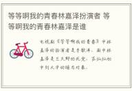 等等啊我的青春林嘉澤扮演者 等等啊我的青春林嘉澤是誰(shuí)