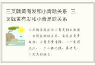 三叉戟黃有發(fā)和小青啥關(guān)系 三叉戟黃有發(fā)和小青是啥關(guān)系