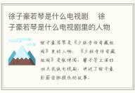 徐子豪若琴是什么電視劇    徐子豪若琴是什么電視劇里的人物