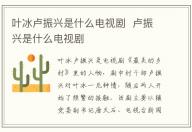 葉冰盧振興是什么電視劇  盧振興是什么電視劇