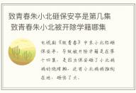 致青春朱小北砸保安亭是第幾集 致青春朱小北被開除學籍哪集