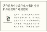 武丹丹黃小棟是什么電視劇 小棟和丹丹是哪個電視劇的