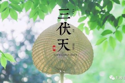 三伏天是幾月幾號(hào)2023？今年三伏天時(shí)間表2023最細(xì)消息
