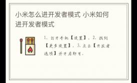 小米怎么進開發(fā)者模式 小米如何進開發(fā)者模式