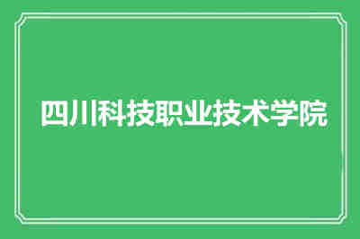 四川科技職業技術學院辦學特色