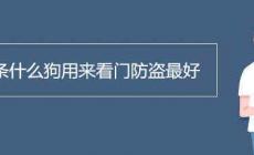 養(yǎng)條什么狗用來看門防盜最好