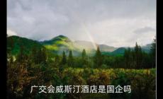 廣交會(huì)威斯汀酒店是國(guó)企嗎