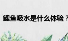 鯉魚吸水是什么體驗？鯉魚吸水有多舒服？