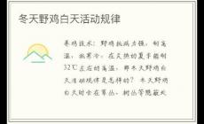 冬天野雞白天活動規(guī)律
