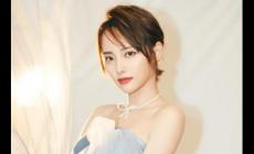 張嘉倪個(gè)人資料簡(jiǎn)介 中國(guó)內(nèi)地影視女演員