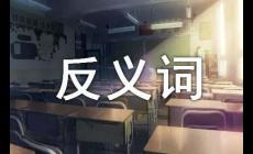 從容的近義詞是什么？從容的近義詞有哪些