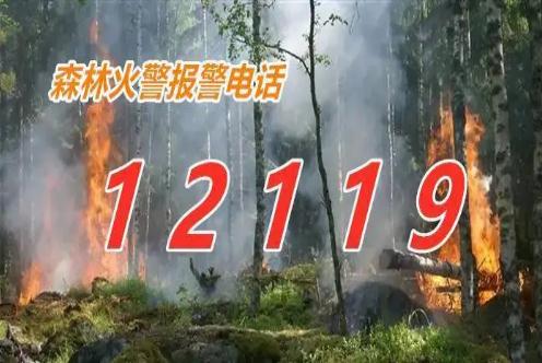 森林火災報警電話是多少？