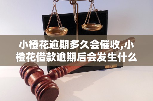小橙花逾期多久會催收,小橙花借款逾期后會發(fā)生什么