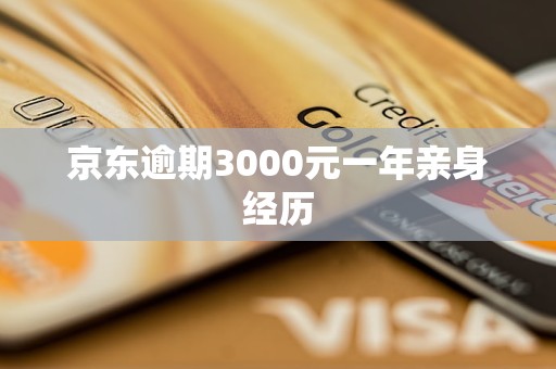 京東逾期3000元一年親身經(jīng)歷