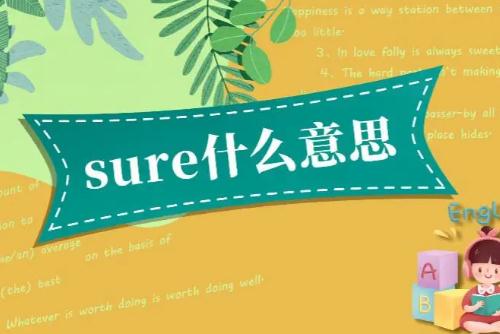 sure是什么意思，sure的意思是