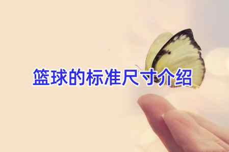籃球的標(biāo)準(zhǔn)尺寸介紹