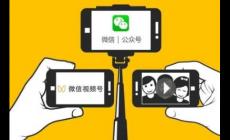 微信id號(hào)怎么查找到人的信息（微信id號(hào)怎么查找到人）