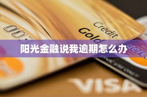 陽光金融說我逾期怎么辦
