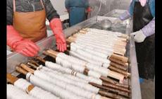農(nóng)村有哪些致富項目可以做的？可以參與的