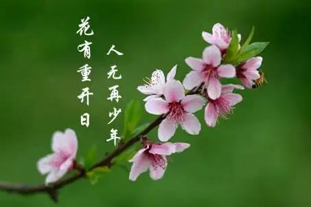 花下少年應笑我是什么意思？其下一句是什么