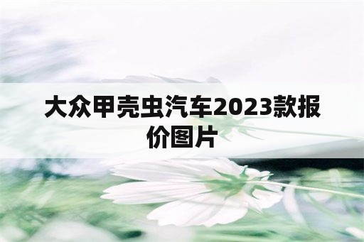 大眾甲殼蟲汽車2023款報價圖片 - 私寵百克 