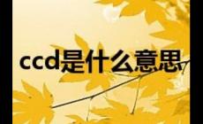 ccd是什么意思網(wǎng)絡(luò)用語(ccd是什么意思)