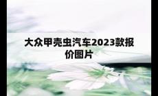 大眾甲殼蟲(chóng)汽車(chē)2023款報(bào)價(jià)圖片（大眾甲殼蟲(chóng)怎么樣）
