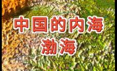 渤海是我國(guó)最大的內(nèi)海對(duì)嗎?