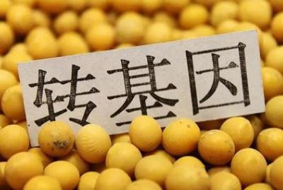 轉(zhuǎn)基因?qū)ι眢w有害嗎？三個(gè)轉(zhuǎn)基因危害害處盤(pán)點(diǎn)