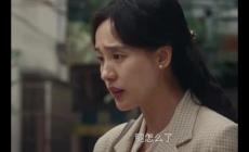 王寶強(qiáng)《棋士》電視劇中高淑華扮演者是誰