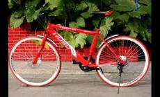 虎步自行車(chē)產(chǎn)地在哪個(gè)城市（虎步自行車(chē)產(chǎn)地在哪）