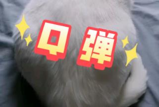 q彈的意思,q彈是什么意思網(wǎng)絡(luò)詞,q彈這個詞怎么來