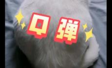 q彈的意思,q彈是什么意思網(wǎng)絡(luò)詞,q彈這個詞怎么來